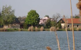 Vila Madams - Palic-Serbia