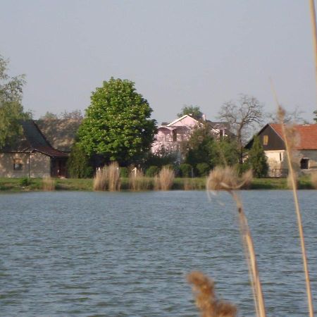 Vila Madams - Palic-Serbia Dış mekan fotoğraf