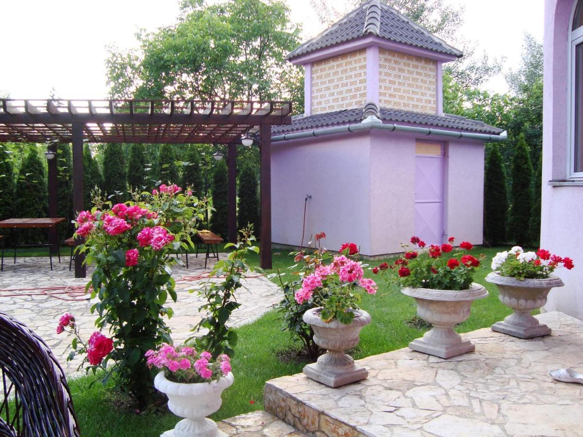 Vila Madams - Palic-Serbia Dış mekan fotoğraf