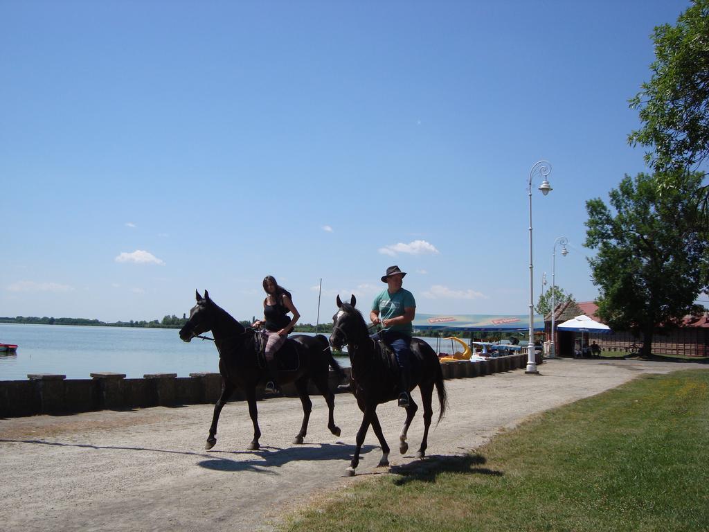 Vila Madams - Palic-Serbia Dış mekan fotoğraf