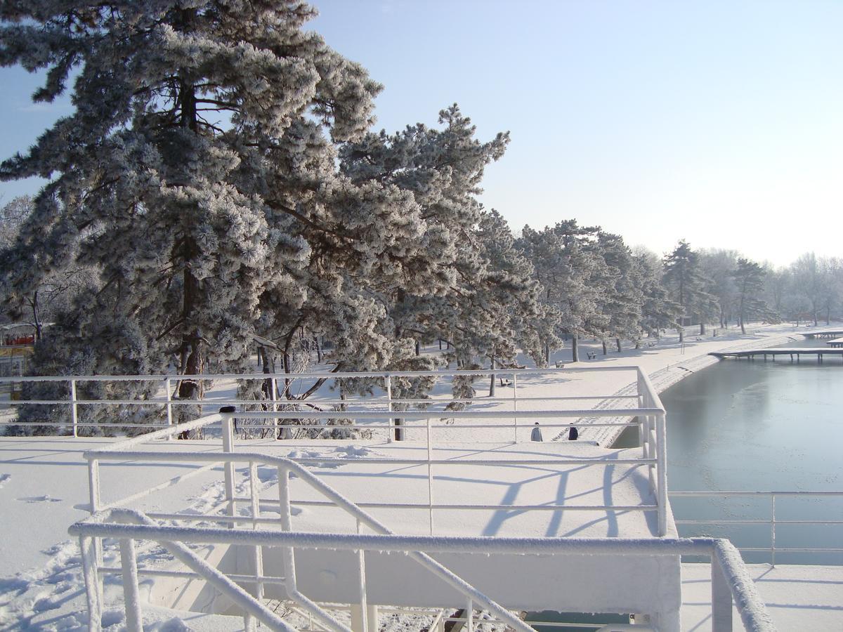 Vila Madams - Palic-Serbia Dış mekan fotoğraf