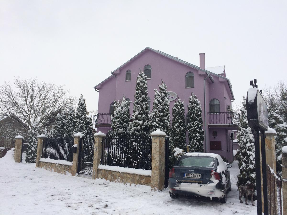 Vila Madams - Palic-Serbia Dış mekan fotoğraf