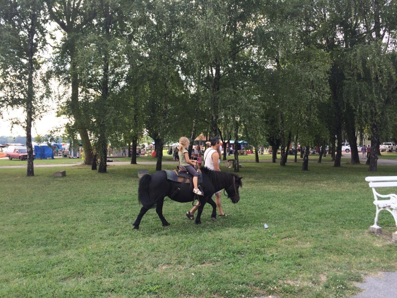 Vila Madams - Palic-Serbia Dış mekan fotoğraf